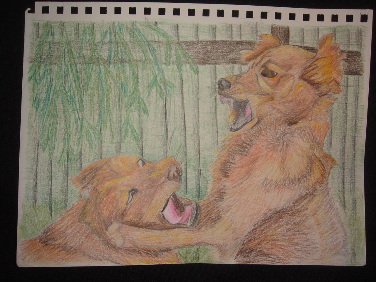 colored pencil on paper (circa 2007)